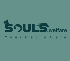 جمعية سولز للرفق بالحيوان